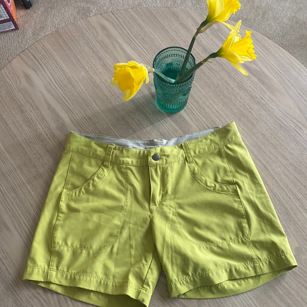 Patagonia Shorts